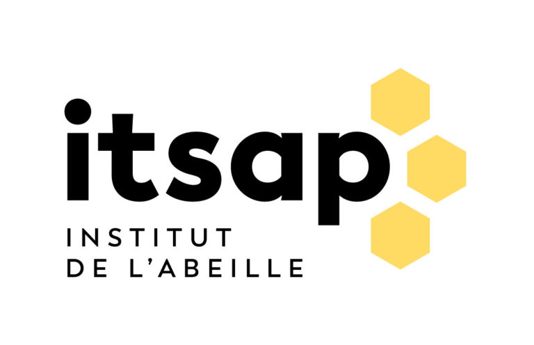 logo itsap